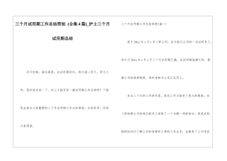 三个月试用期工作总结简短-护士三个月试用期总结