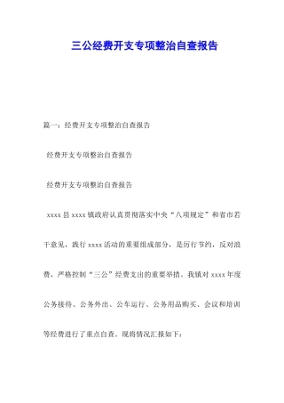 三公经费开支专项整治自查报告