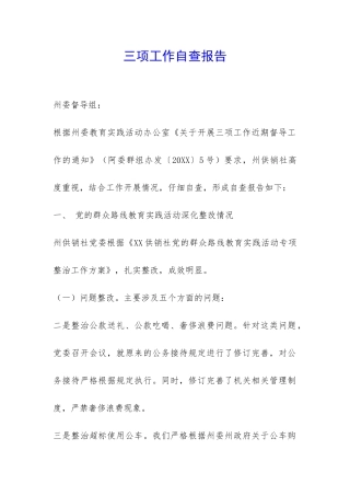 三项工作自查报告-