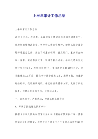 上半年审计工作总结-