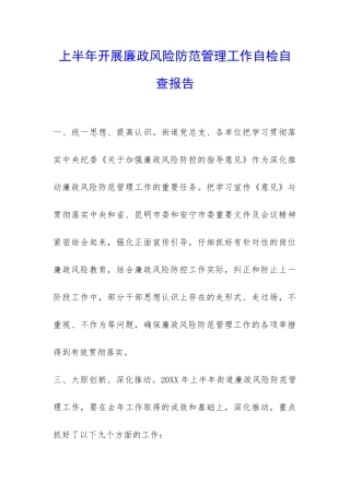 上半年开展廉政风险防范管理工作自检自查报告-