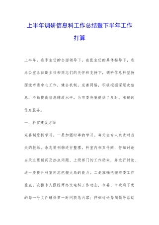 上半年调研信息科工作总结暨下半年工作打算-