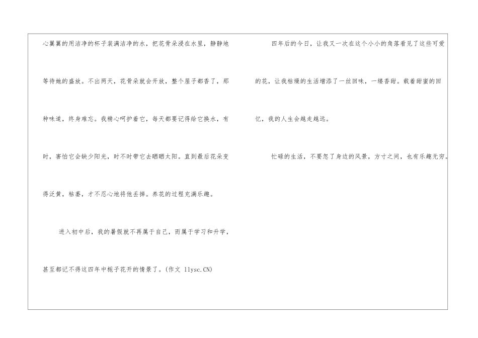 上海中考作文题目及：《这里也有乐趣》_第3页