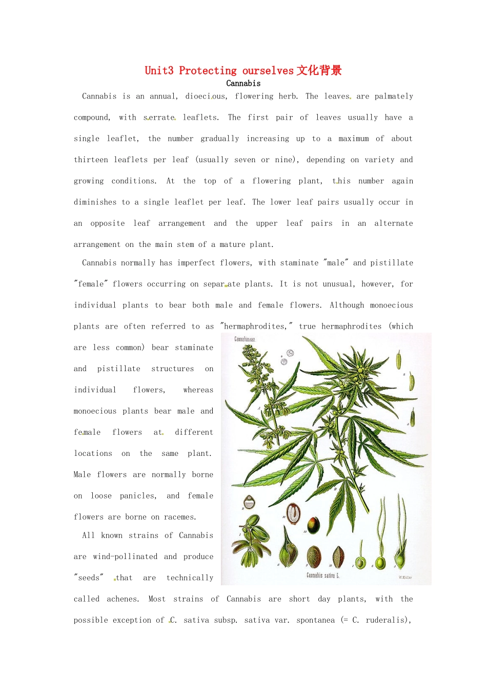 高中英语 Unit3 Protecting ourselves文化背景 牛津译林版选修10-牛津版高二选修10英语素材_第1页