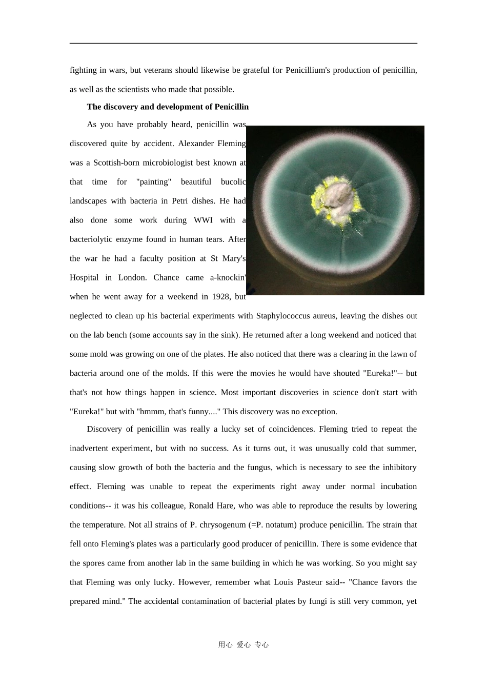 高中英语：penicillium chrysogenum相关素材（牛津版选修7）_第2页