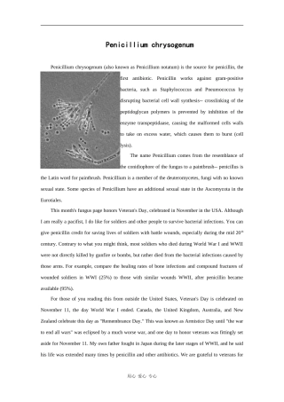 高中英语：penicillium chrysogenum相关素材（牛津版选修7）