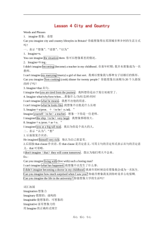 高中英语：unit1 lesson4 city and country学案（北师大版必修1）