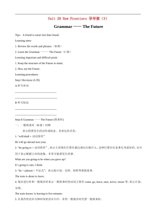 高中英语：Unit20 New Frontiers-Grammar导学案北师大版选修7