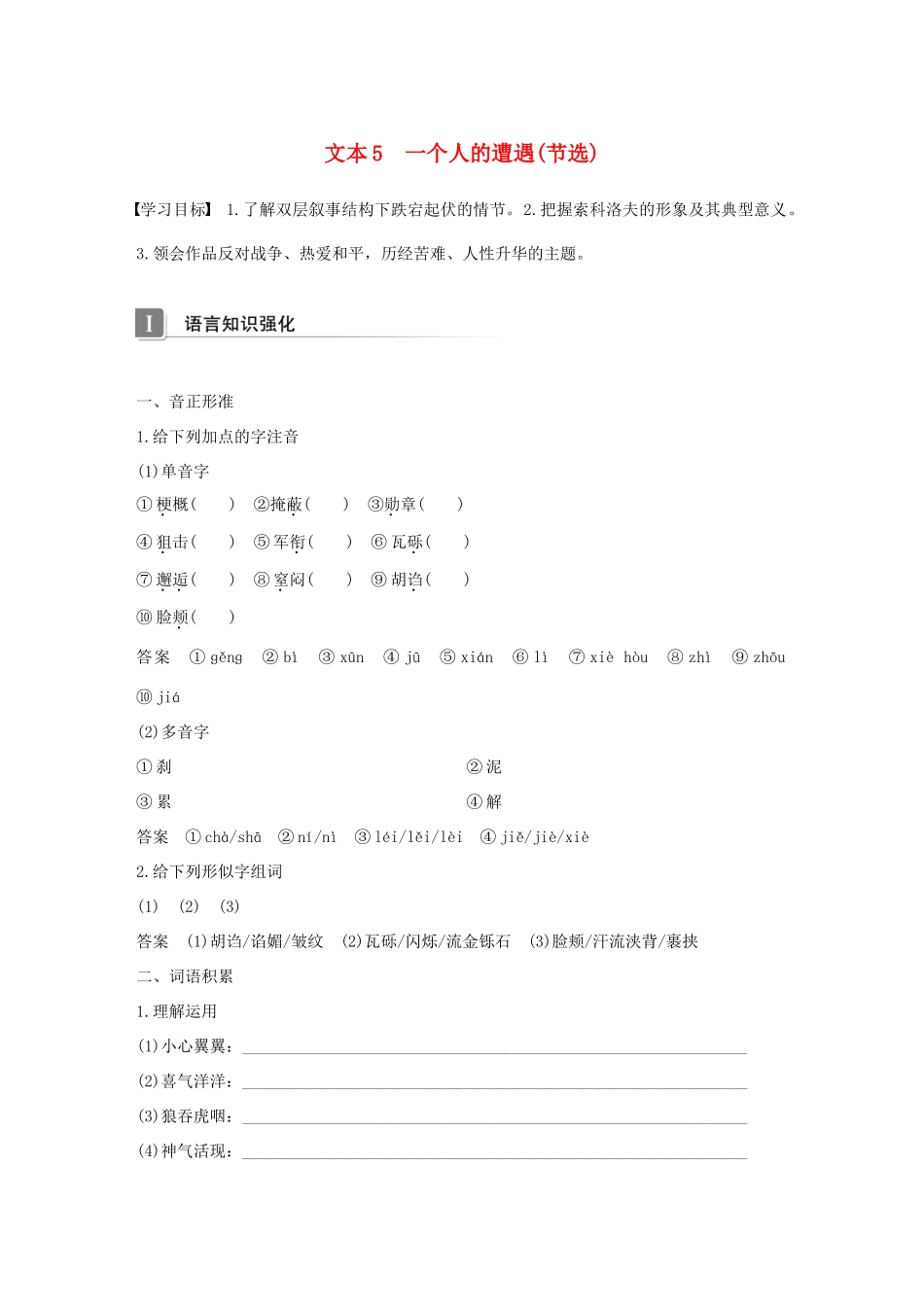 高中语文 专题二 和平的祈祷 文本5 一个人的遭遇(节选)学案 苏教版必修2-苏教版高一必修2语文学案_第1页