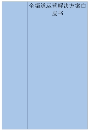 全渠道运营解决方案 白皮书