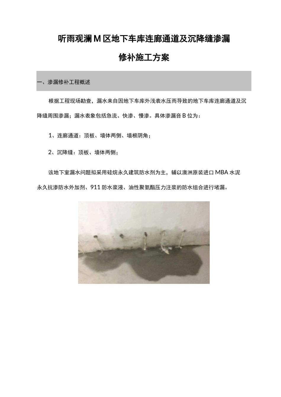 防水渗漏修补施工组织设计方案_第1页