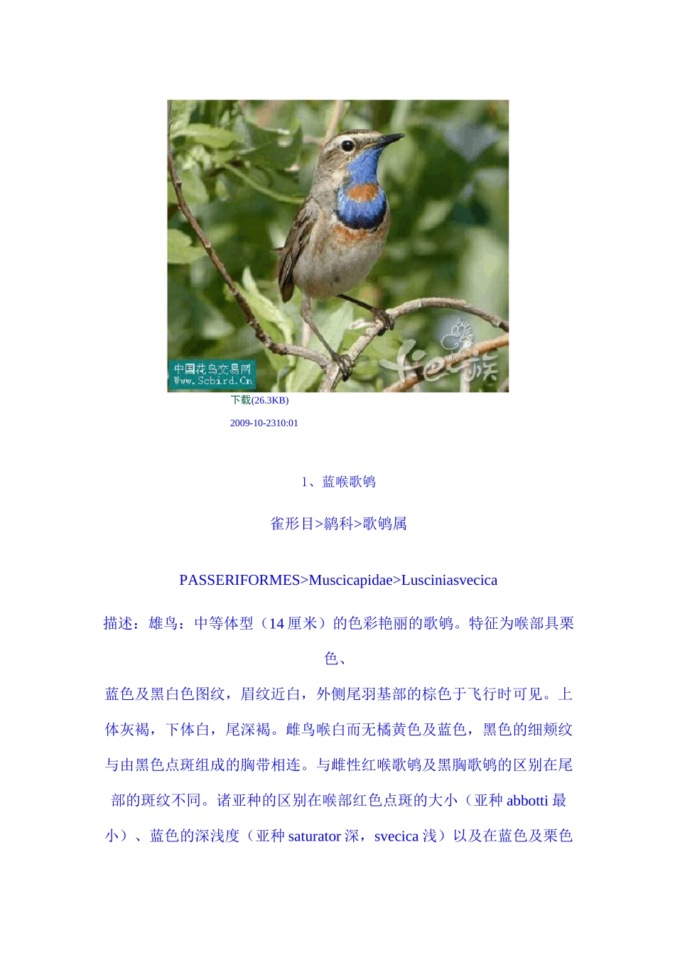 鸟类图谱大全_第1页