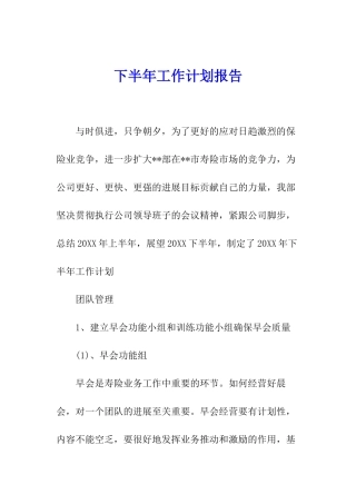 下半年工作计划报告