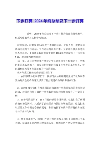 下步打算-2024年终总结及下一步打算