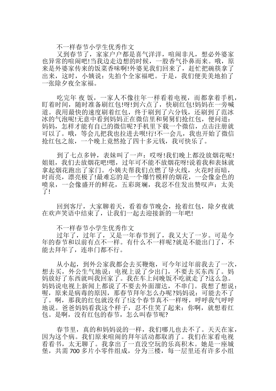 不一样春节小学生优秀作文_第2页