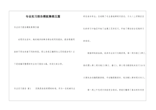专业实习报告模板集锦五篇