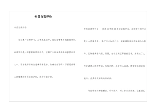 专员自我评价