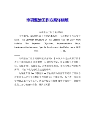 专项整治工作方案详细版