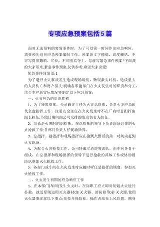 专项应急预案包括5篇