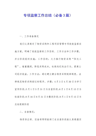 专项监察工作总结