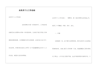 业务员个人工作总结