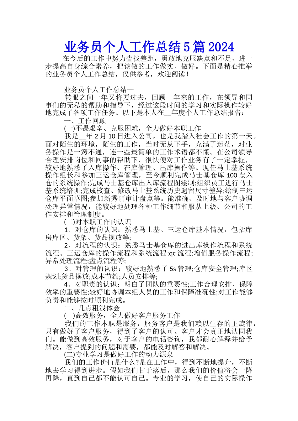 业务员个人工作总结5篇2024_第1页