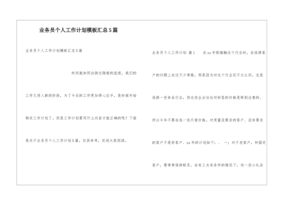 业务员个人工作计划模板汇总5篇_第1页
