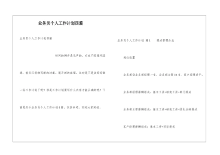 业务员个人工作计划四篇