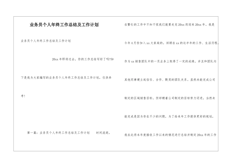 业务员个人年终工作总结及工作计划_第1页