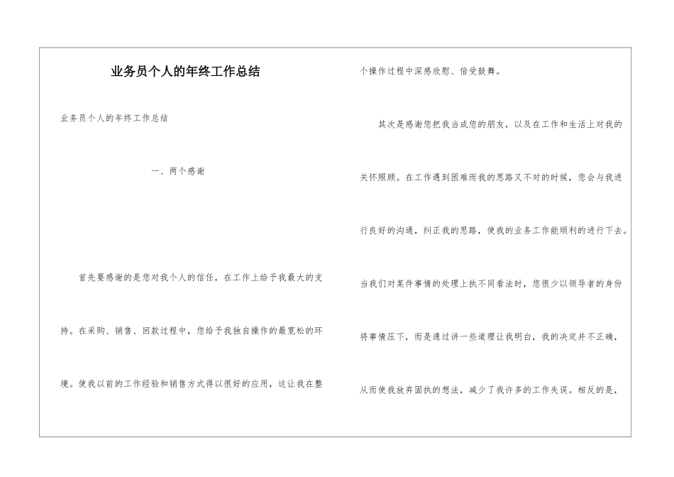 业务员个人的年终工作总结_第1页