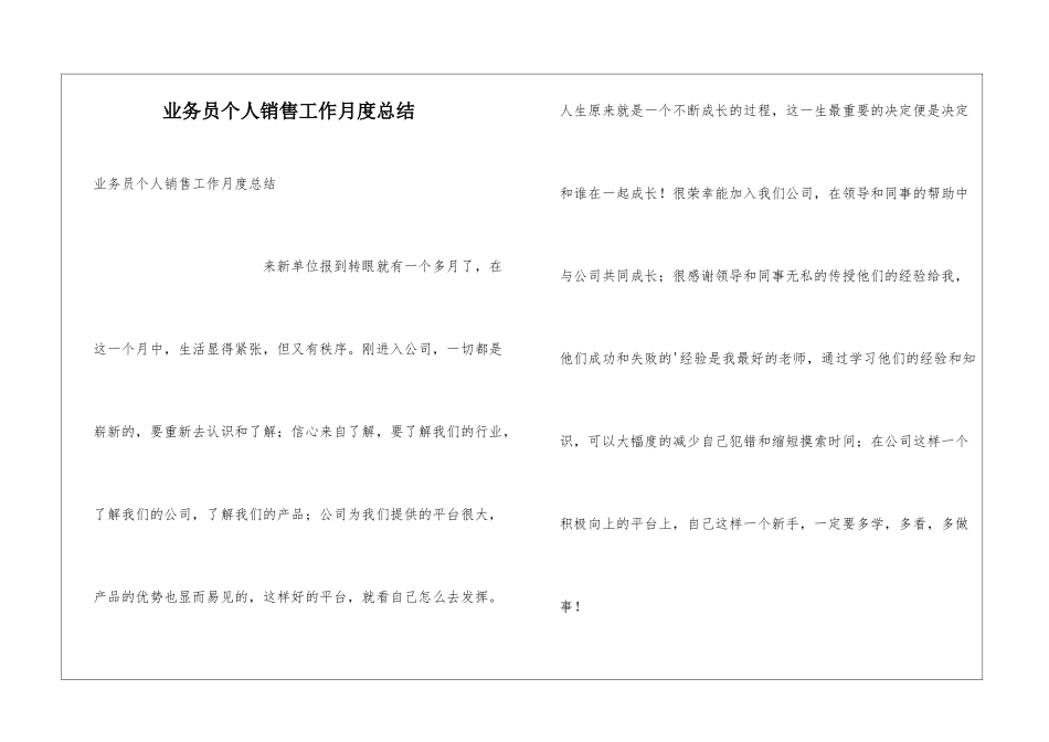 业务员个人销售工作月度总结_第1页