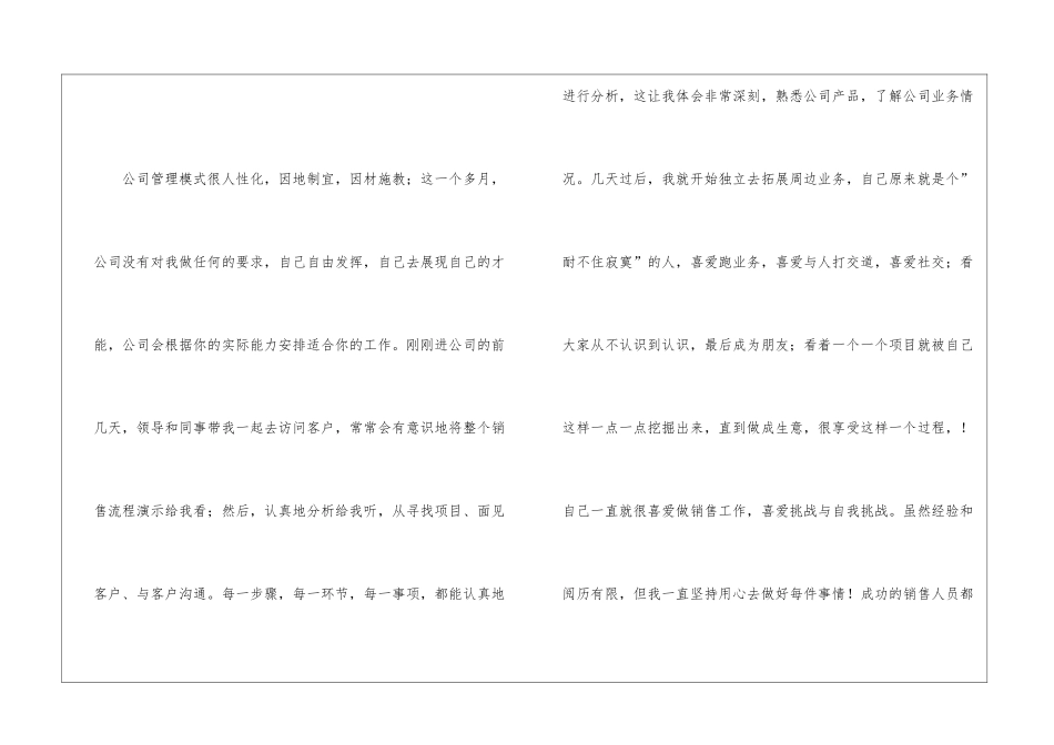 业务员个人销售工作月度总结_第2页