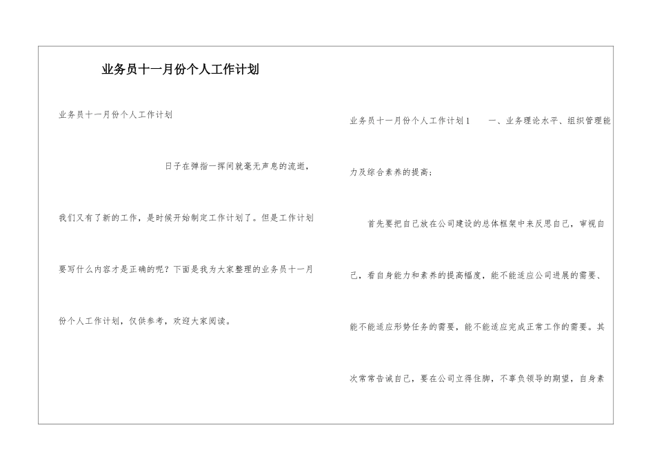 业务员十一月份个人工作计划_第1页