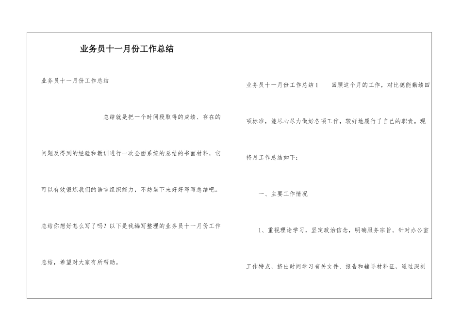 业务员十一月份工作总结_第1页