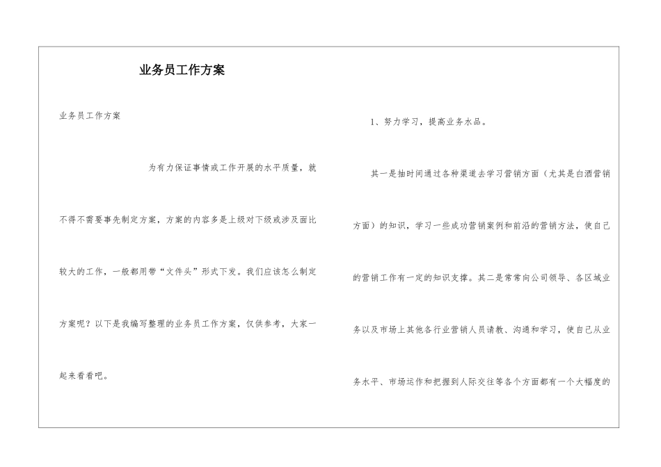业务员工作方案_第1页