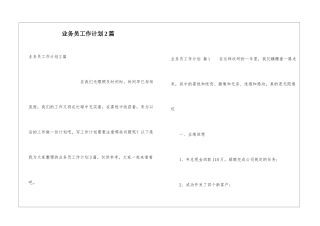 业务员工作计划2篇