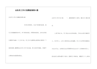 业务员工作计划模板集锦9篇