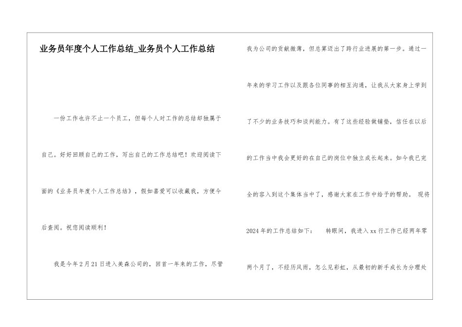 业务员年度个人工作总结业务员个人工作总结_第1页