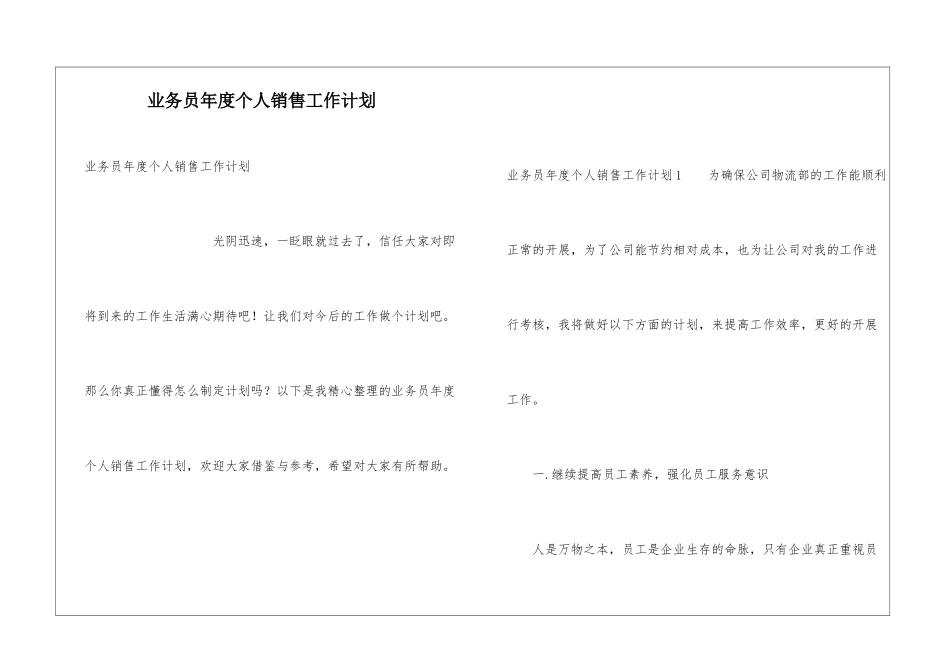 业务员年度个人销售工作计划_第1页