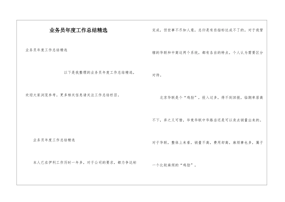 业务员年度工作总结精选_第1页
