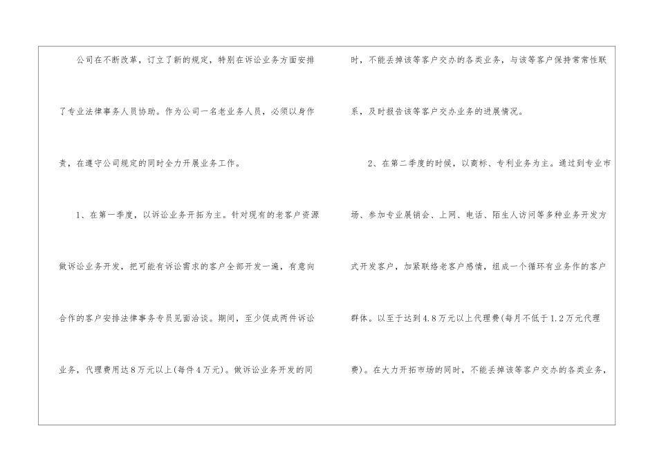 业务员年度计划_第2页