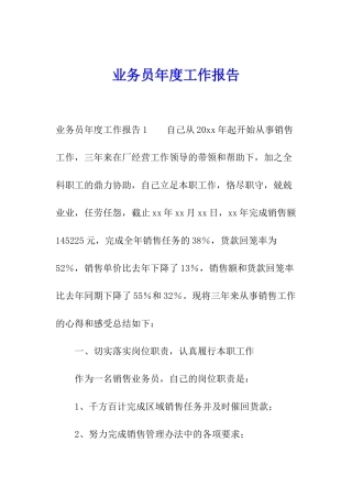 业务员年度工作报告