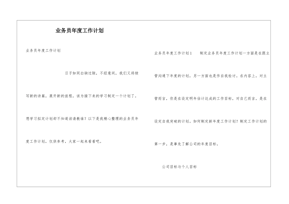 业务员年度工作计划_第1页