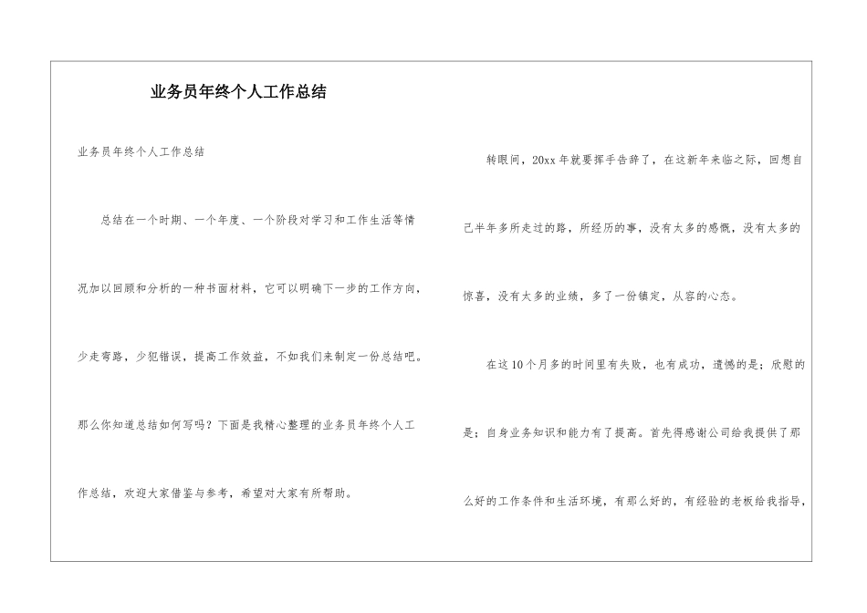 业务员年终个人工作总结_第1页
