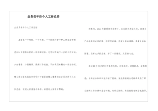 业务员年终个人工作总结