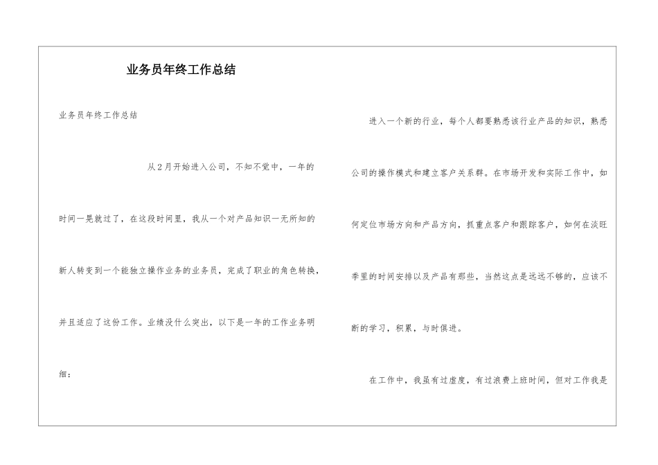业务员年终工作总结_第1页