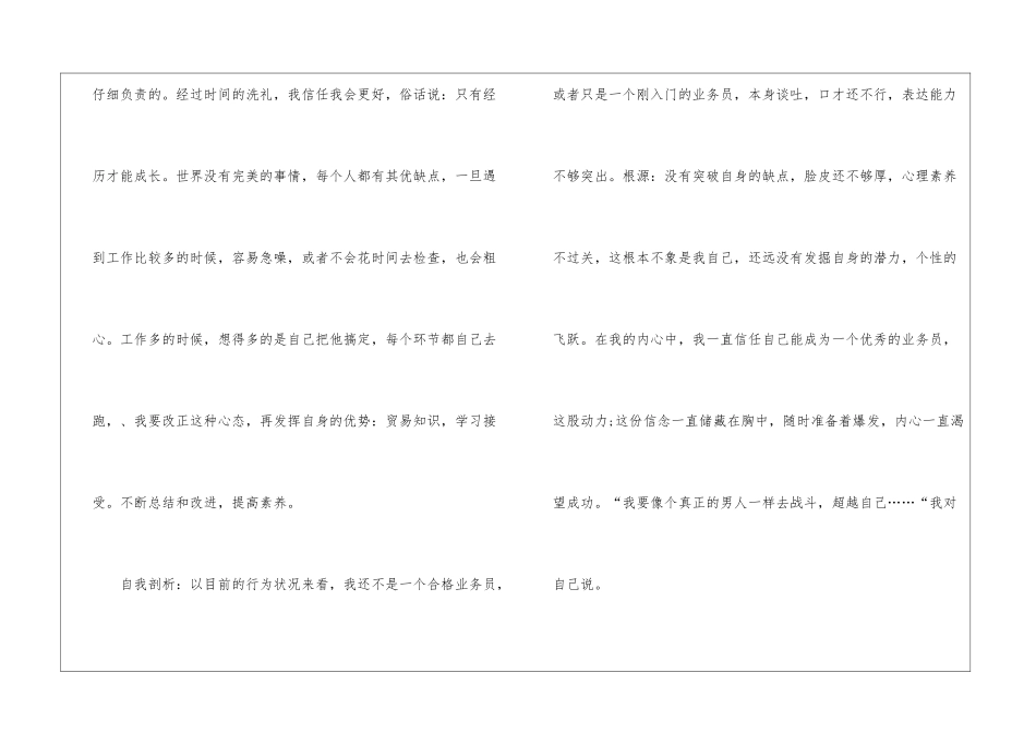 业务员年终工作总结_第2页