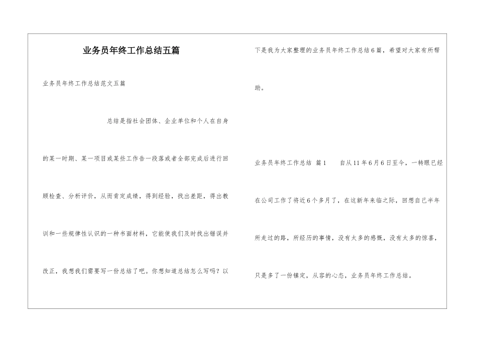 业务员年终工作总结五篇_第1页
