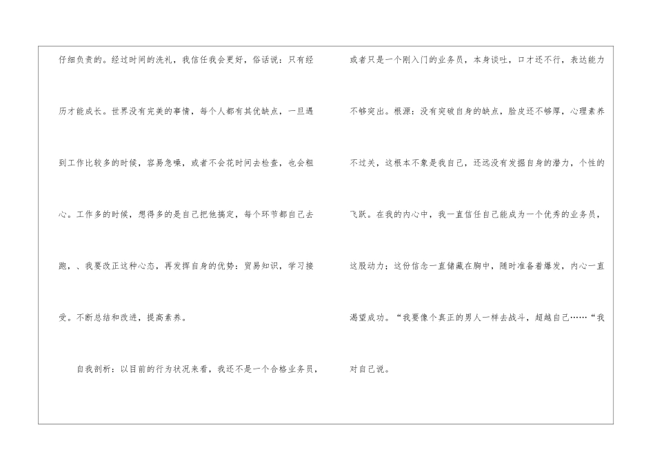 业务员年终工作总结锦集八篇_第3页