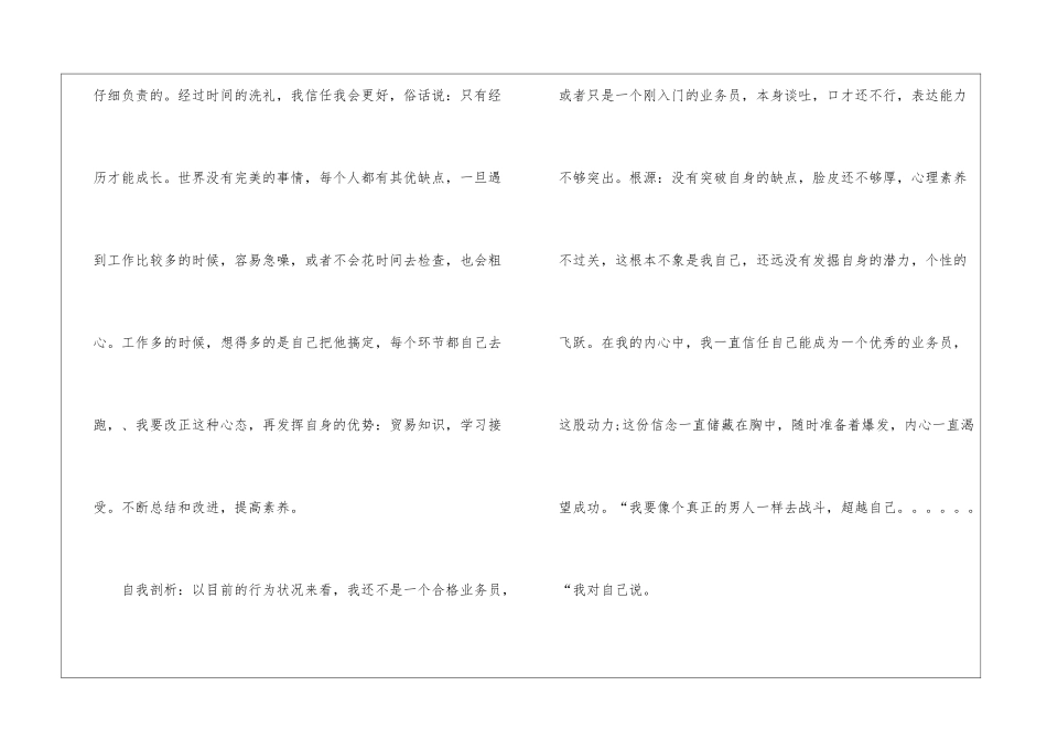 业务员年终工作总结范本格式_第2页